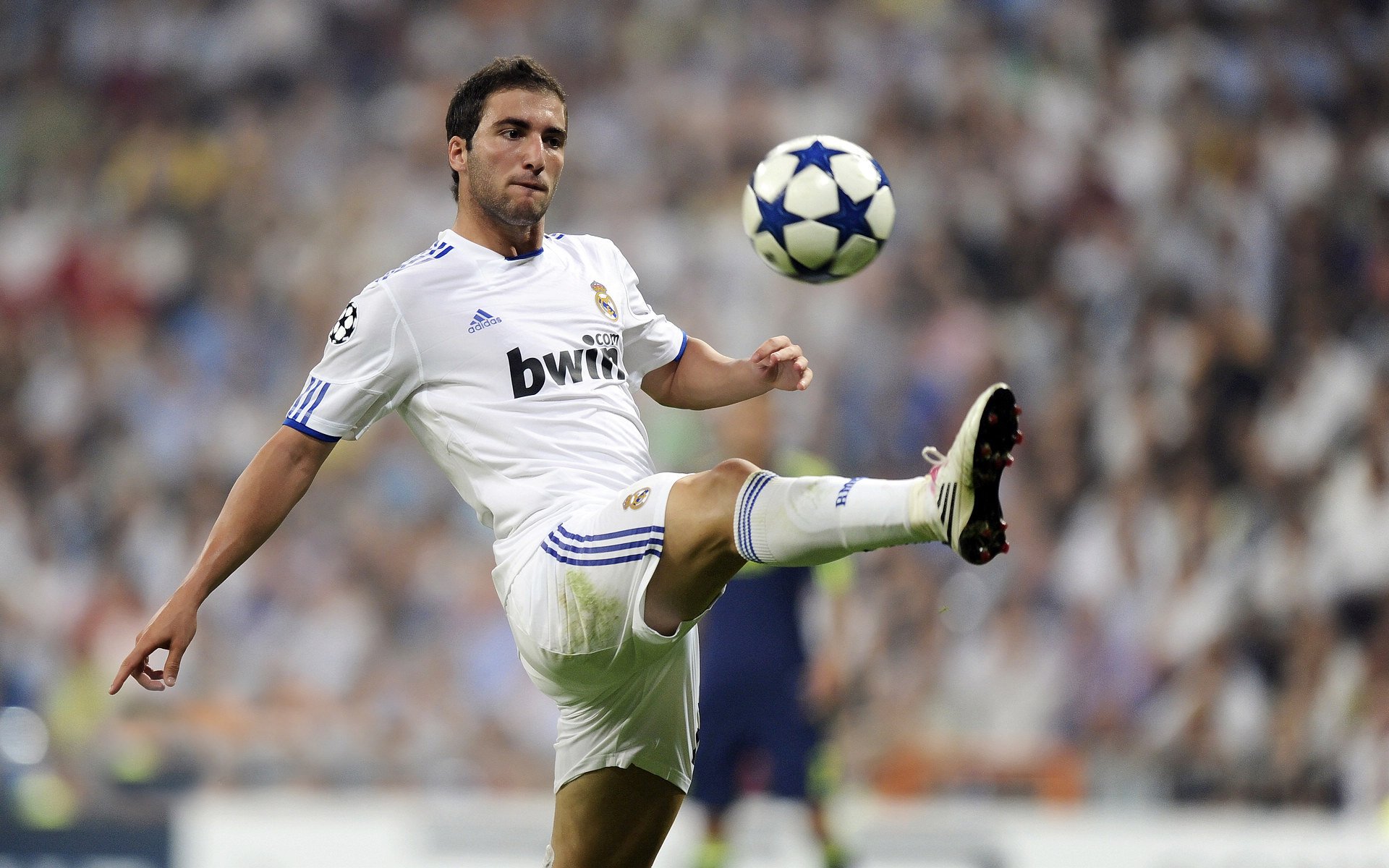 Ming新星败北表现突出，德国队前途光明！引发球迷热议